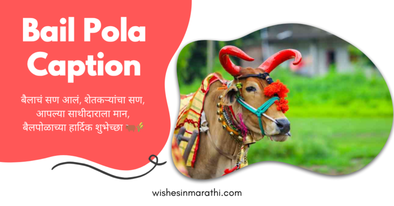 bail pola caption in marathi