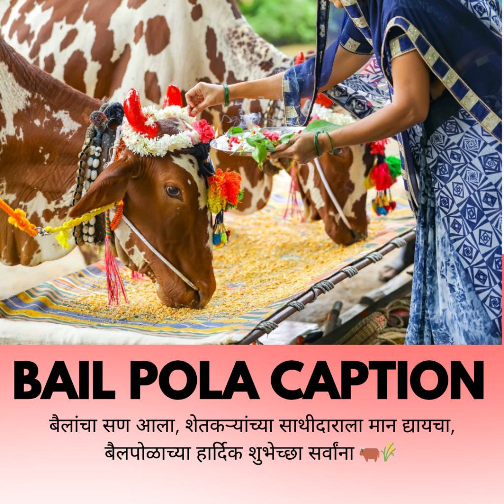 bail pola caption in marathi