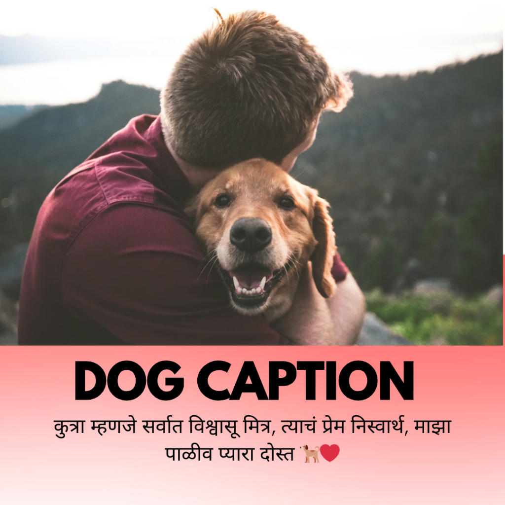 dog caption in marathi