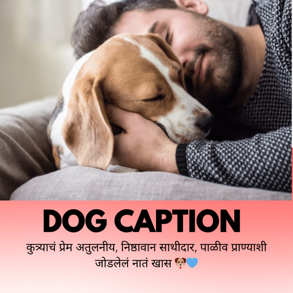 dog caption in marathi