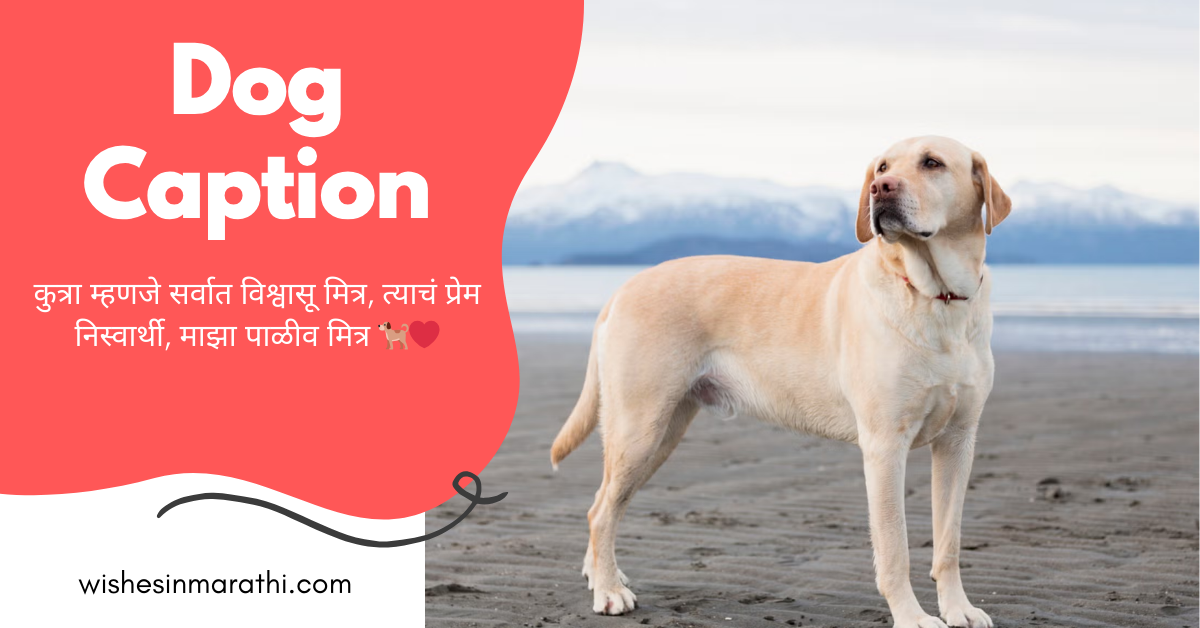 dog caption in marathi